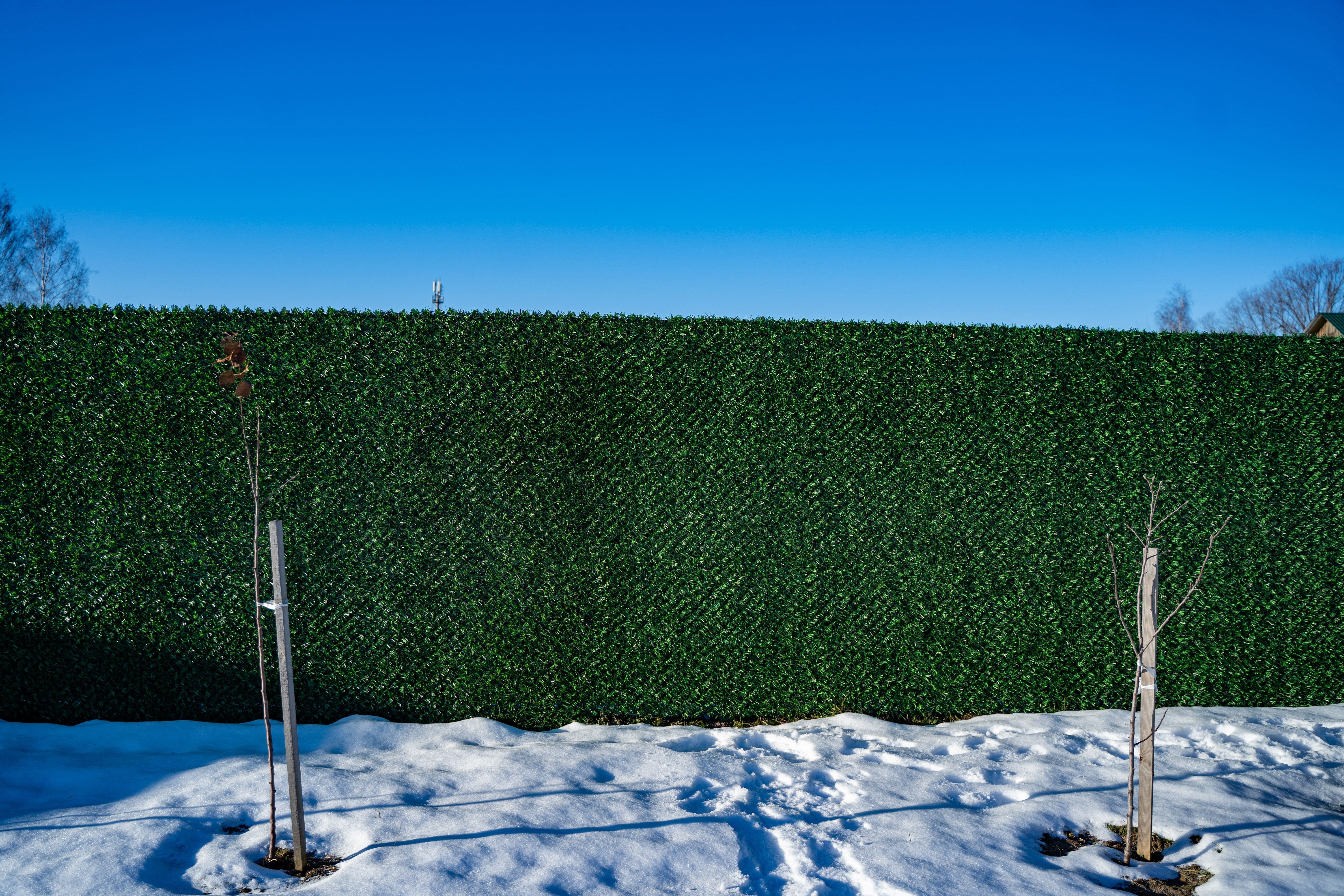 Вечнозеленый забор Grass Fence рулон 2м фото 8 в Реутове